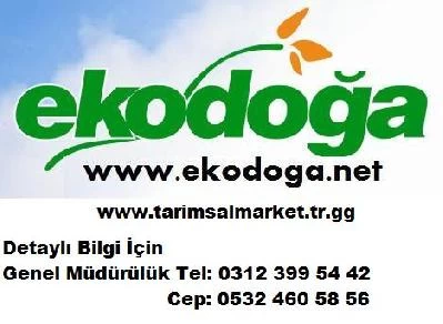 Korunga Seed korunga seed korunga seed price, $ 2, korunga cultivation, sale, cultivation of korunga