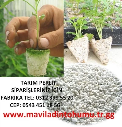 Tarım Perliti,Sera Perliti,Tarım Perliti Fiyatları,Perlit Fiyatları,Mavi Ladin Tohumu,Topraksız Tarı