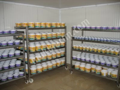Yoghurt Filling Machine Is For Sale