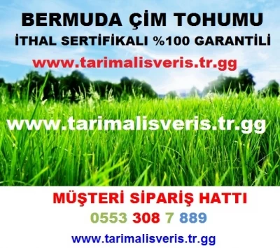 Bermuda Çimi,1 Tl,Bermuda Çim Tohumu,Uganda Çimi,Bermuda-Çimi,Bermuda-Çimi-Tohumu,Çim-Tohumu-Fiyatla