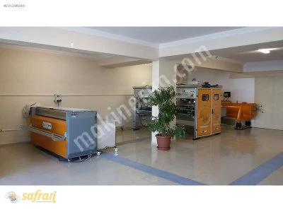 Carpet Cleaning Factory Establishing