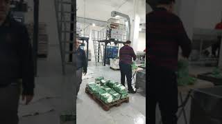 Machine Name: Multihead Weighing Packaging Machine