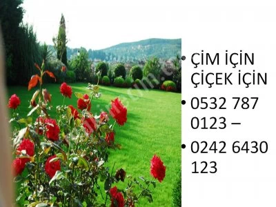 Çim Toprağı