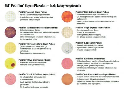 3M Petrifilm