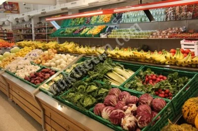 AVRASYA SHELF AND REFRIGERATIONS SYSTEMS LTD
