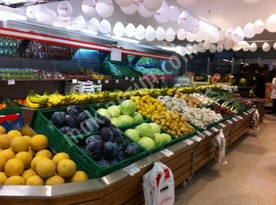 AVRASYA SHELF AND REFRIGERATIONS SYSTEMS LTD