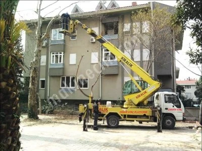 TREE PRUG COMPANIES