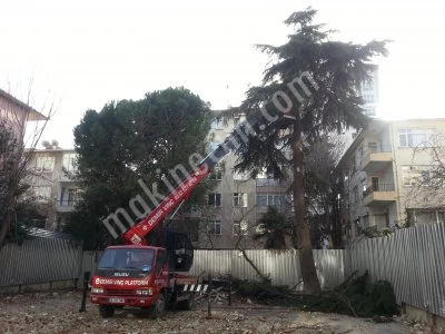 TREE PRUG COMPANIES