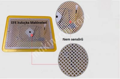 48 Yumurtalık Tavuk Yumurtası Kuluçka Makinesi