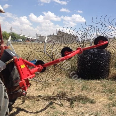 Grass Rake 4 Pieces (With Pins)