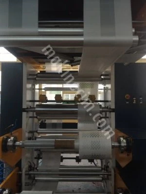 2 Color Flexo Printing Machine With Turn Bar