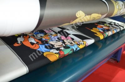 Piece And Roll Transfer Printing Machine