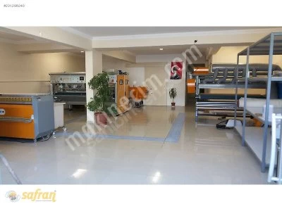 Carpet Washing Machines