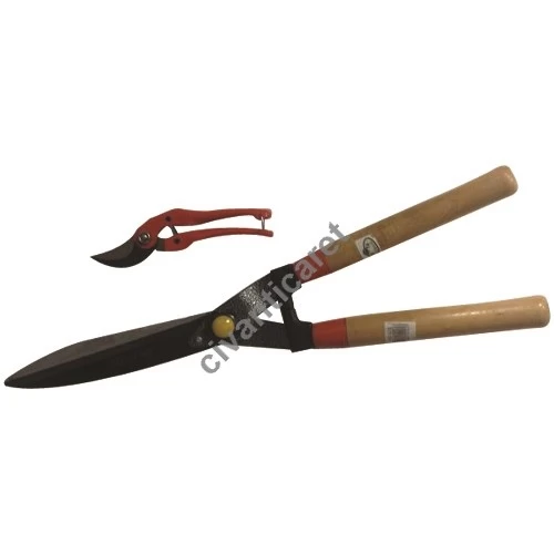 Çimen Makası + Bağ Makası Seti Ag-503416 Al-Fa Green