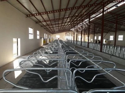 Koçaksan Büyükbaş Hayvan Ekipmanları