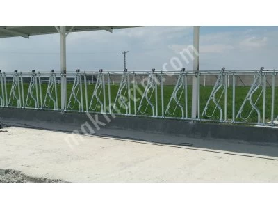 Kilitleme Sistemi Çift Açılır Kilitleme Yemlik Kilitleme Büyükbaş Hayvan Kilit Sistemi
