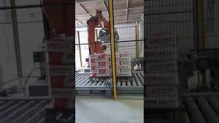 Kraft Bag Palletizing Robot