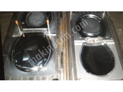Toilet Seat Mold