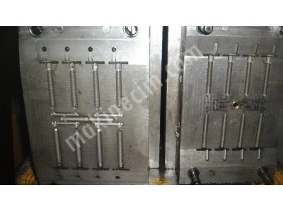 Toilet Seat Mold