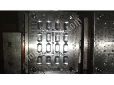 Toilet Seat Mold