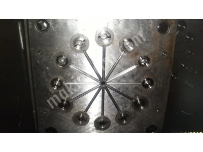 Toilet Seat Mold