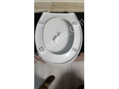 Toilet Seat Mold