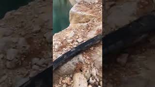 Düşey Milli Drenaj Pompası, Satılık Drenaj Pompası, Endüstriyel Su Pompası, Tarımsal Sulama, Atık Su ve Temiz Su Pompaları