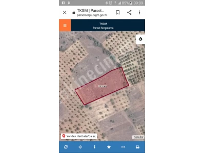 Konya Bozkirda Satılık Tarla