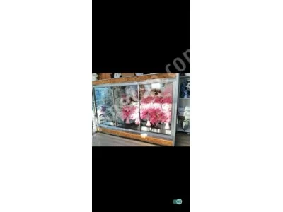 Flower Cabinet