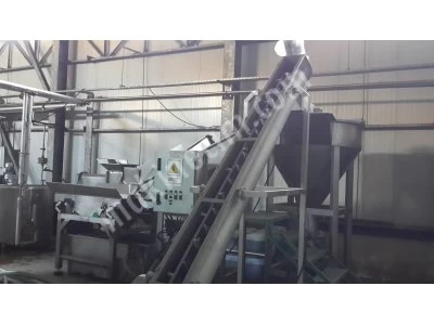 Raisin and Dry Mulberry Washing and Stone Separator