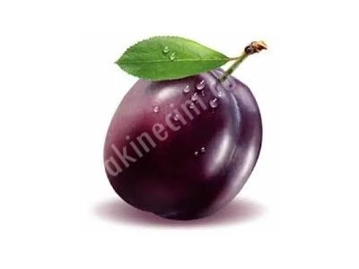 Mürdüm Eriği Boylama Makinası