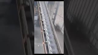 Vibrating Screen (1200X4000X2)