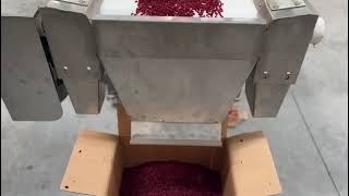 Inspection Conveyor Belt