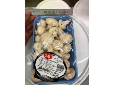 vegetable packing machine