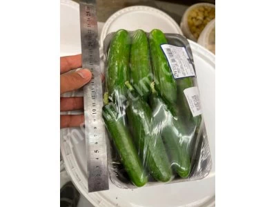 vegetable packing machine