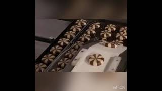 Dolgulu Kurabiye Makinesi
