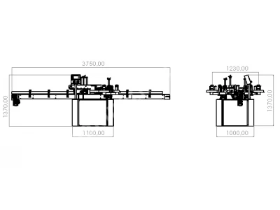 Double Surface Labeling Machine