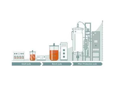 Ore Enrichment Gold+Silver 90% High Product-10 Tons Per Hour