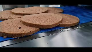 Sponge Cake Slicer