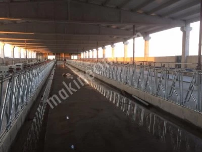 Büyükbaş Yem Kilit Sistemleri