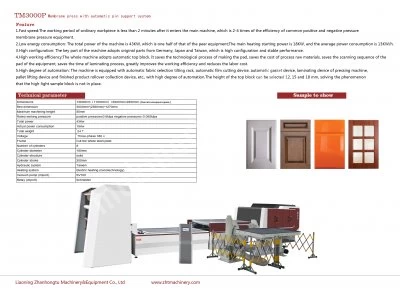 Pin Membrane Press 3D Laminating Machine Zht Tm3000P