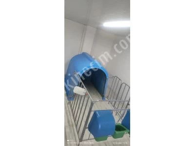 Calf Kennel