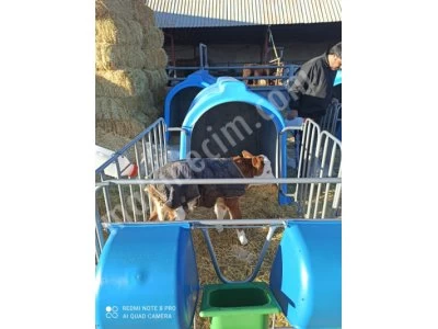 Calf Kennel