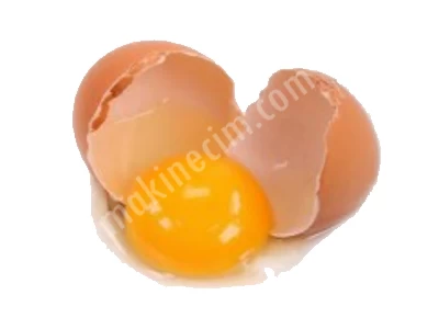 Yumurta Kırma ve Çırpma Makinesi