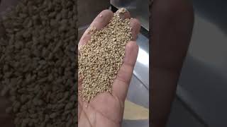 Susam Eleme Makinesi ( Susam İşleme Makine ve Ekipmanları )