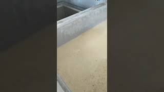 Water Treatment System Sesame Peeling Line, Sesame Roasting Line, Tahini Line