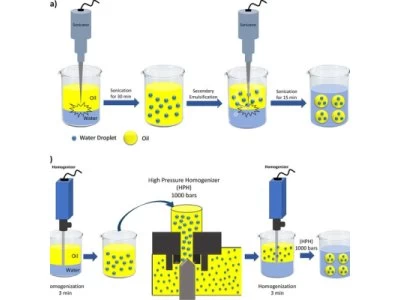 Ultrasonic Nanoemulsification Homogenizer For Sale