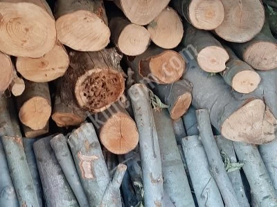 Mangal Kömürü Üretmek İçin Ocak Sistemleri