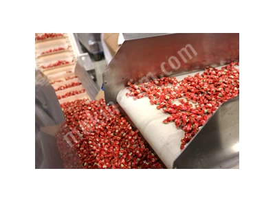 Hard Candy Production Line