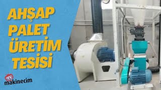 Ahşap Palet Üretim Tesisi